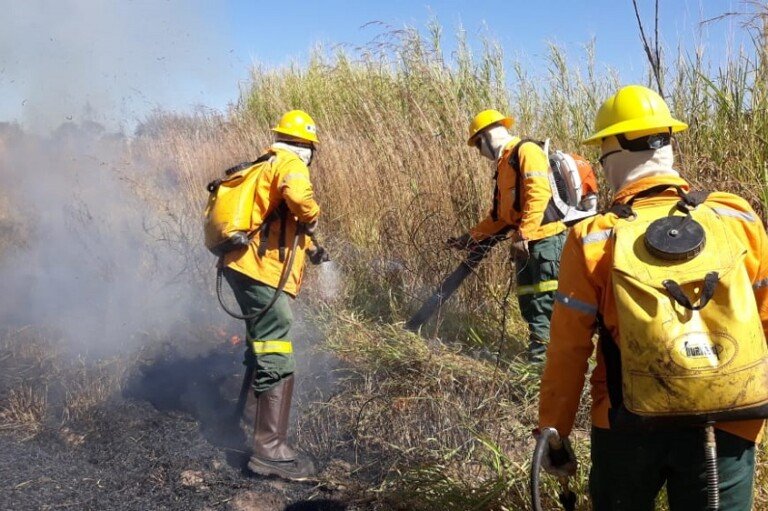 Os brigadistas vão atuar em parceria com o Corpo de Bombeiros na prevenção e no combate a incêndios, nas 82 unidades de conservação do DF e em outras áreas conforme as necessidades preventivas e de combate aos incêndios | Foto: Divulgação/Brasília Ambiental