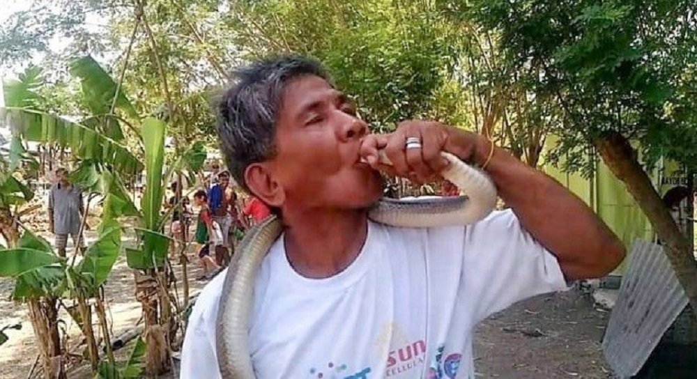 Homem que se dizia imune a veneno de cobra morre após picada
