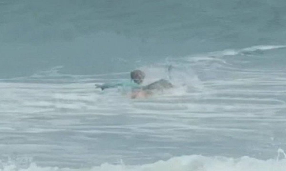 Vídeo: adolescente é atacado por tubarão enquanto surfa na Flórida