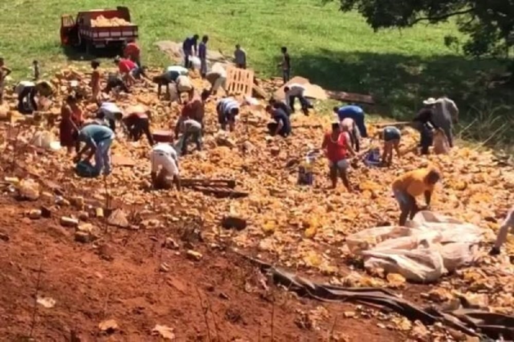 VIDEO – Moradores saqueiam cerveja de caminhão que tombou em GO