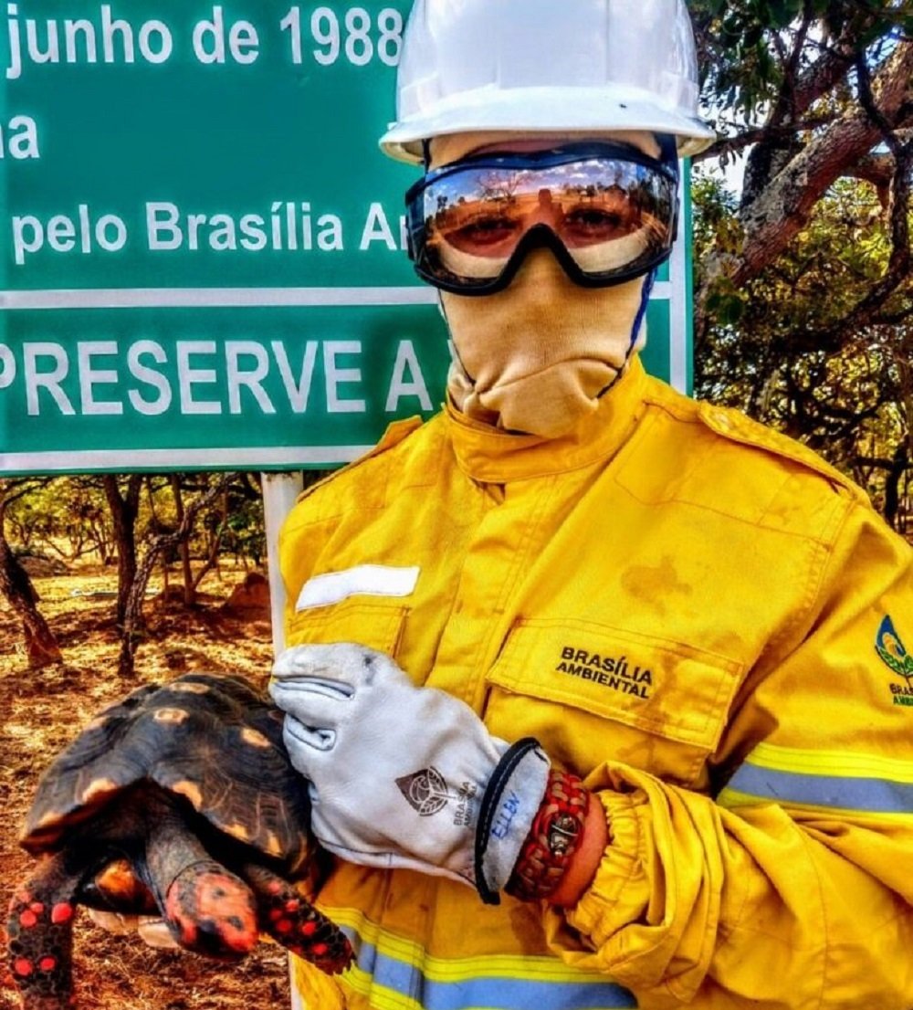 Governo do DF homenageia brigadistas florestais