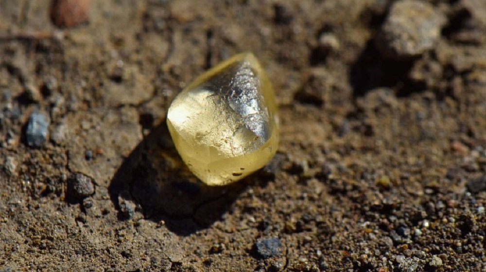 Mulher encontra diamante de 4,38 quilates em parque nos EUA