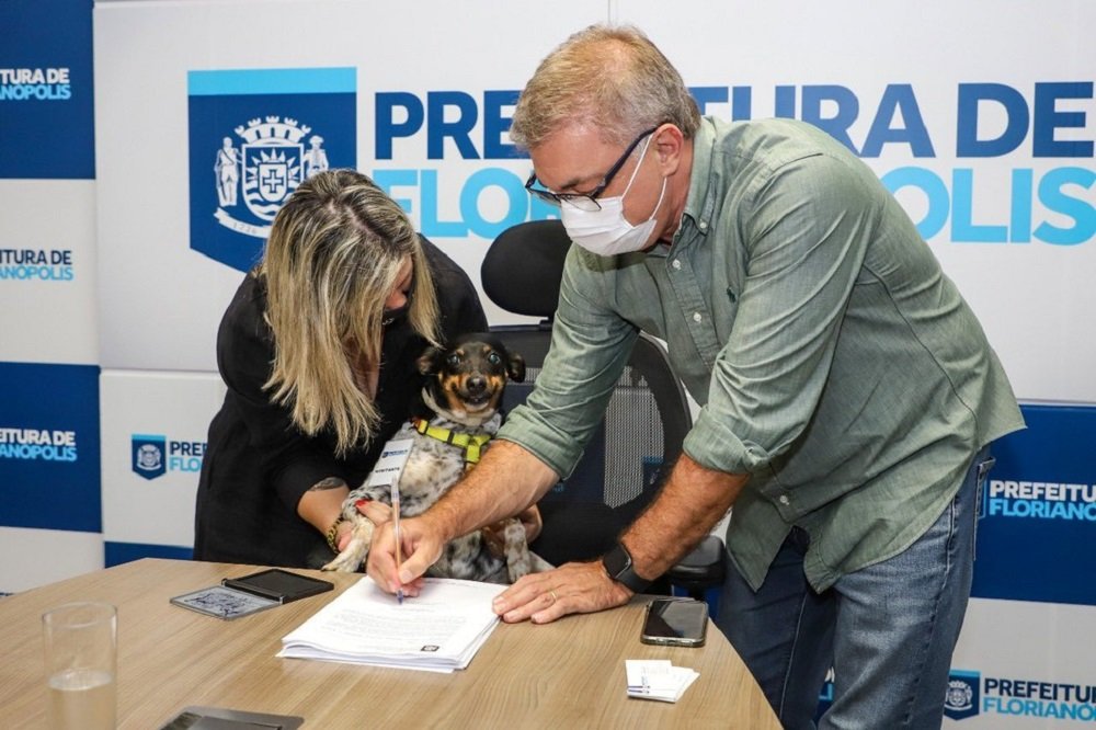 Cachorra ‘assina’ projeto de lei ao lado de prefeito em Florianópolis; VÍDEO