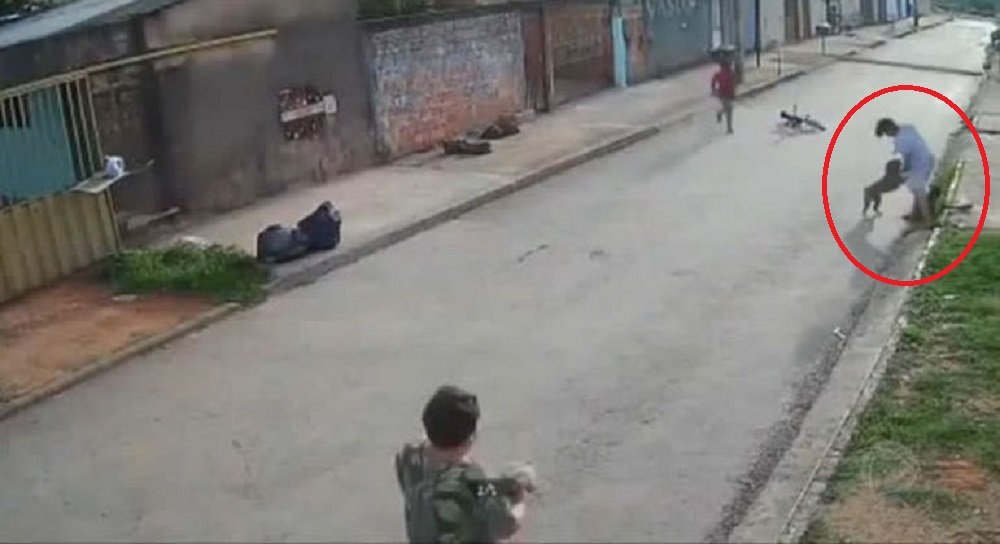 Vídeo: adolescentes salvam criança de ataque de pit bull