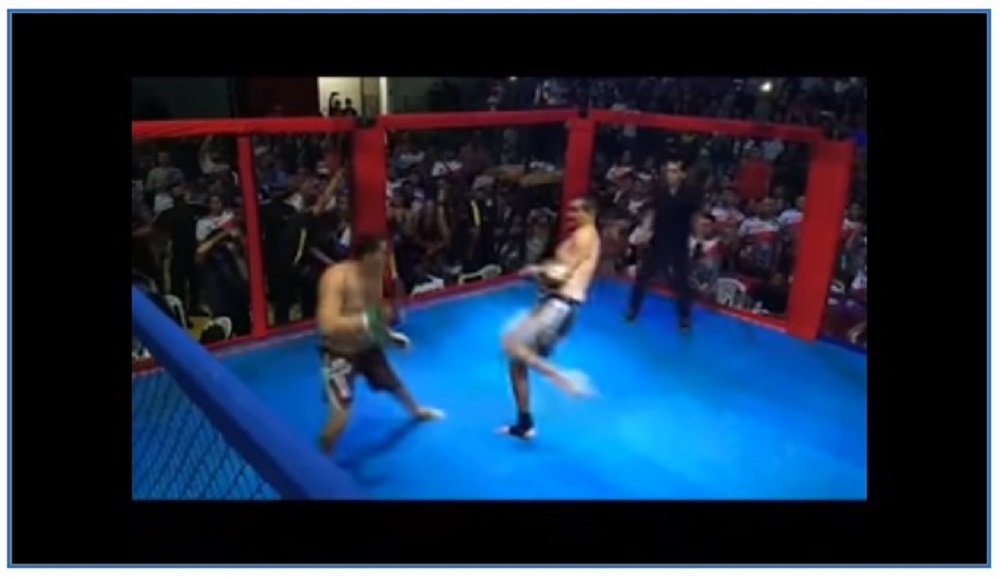 ASSISTA: Prefeito leva briga política para luta de MMA e apanha de ex-vereador
