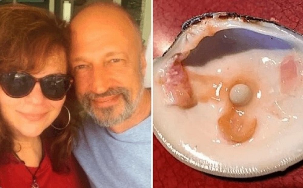 Homem morde molusco em jantar e encontra pérola valiosa nos EUA