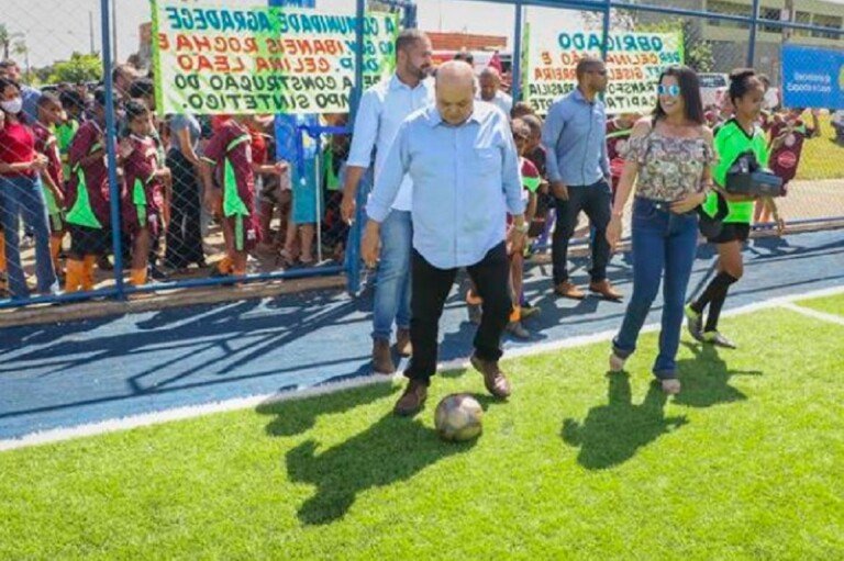 Samambaia Capa