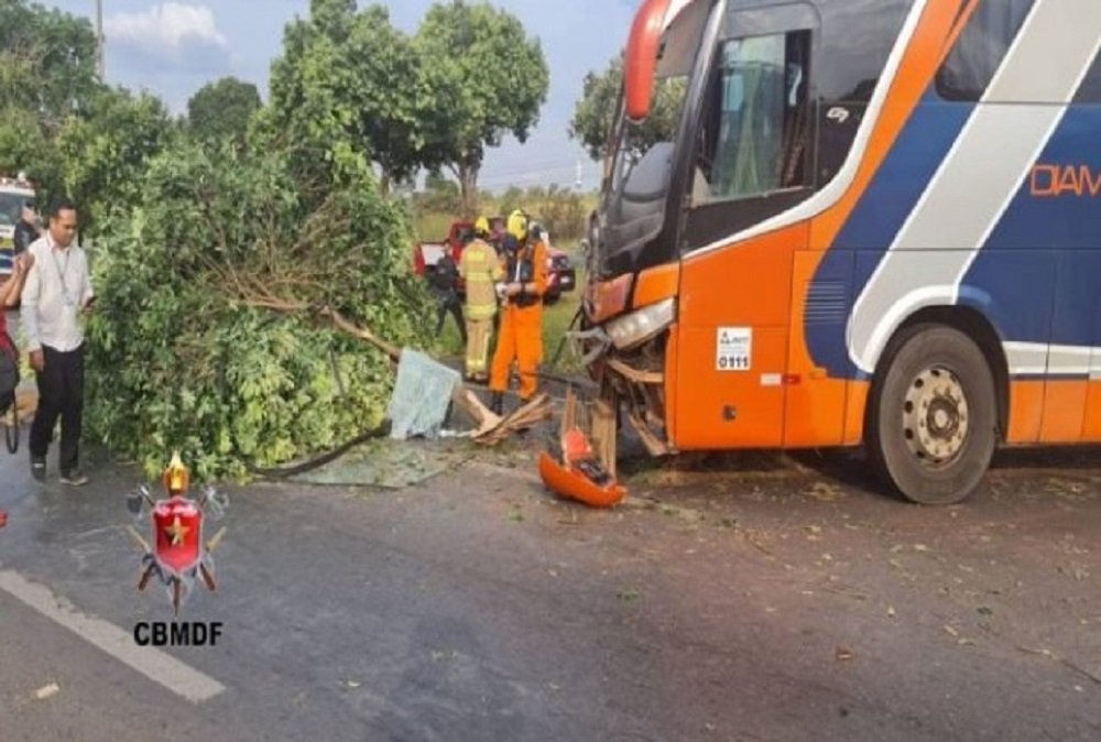 Ônibus com 37 passageiros invade a contramão e derruba árvores no DF