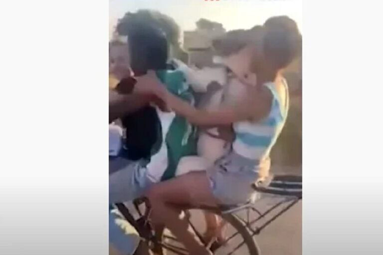 Cachorro pega carona de bicicleta