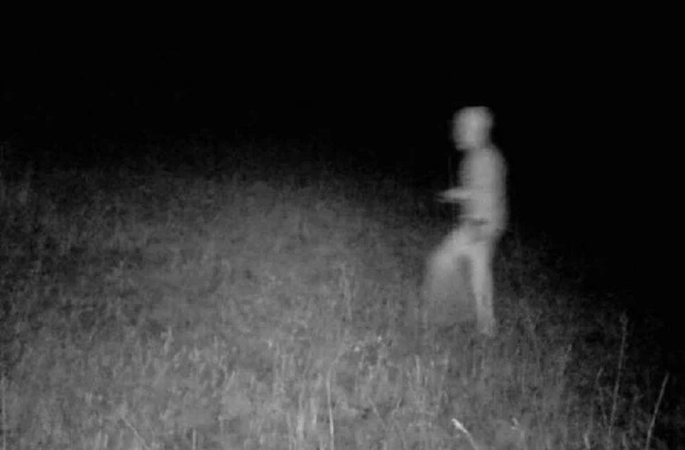 Caçador afirma ter flagrado “alienígena nu e cabeçudo” e gera polêmica