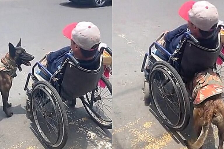 BOA AJUDA