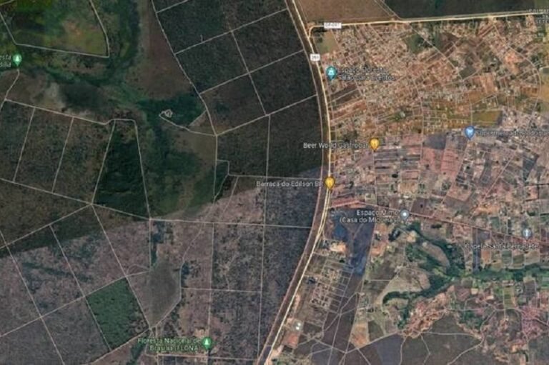 imagem-aerea-da-floresta-nacional-de-brasilia-10082022193010355
