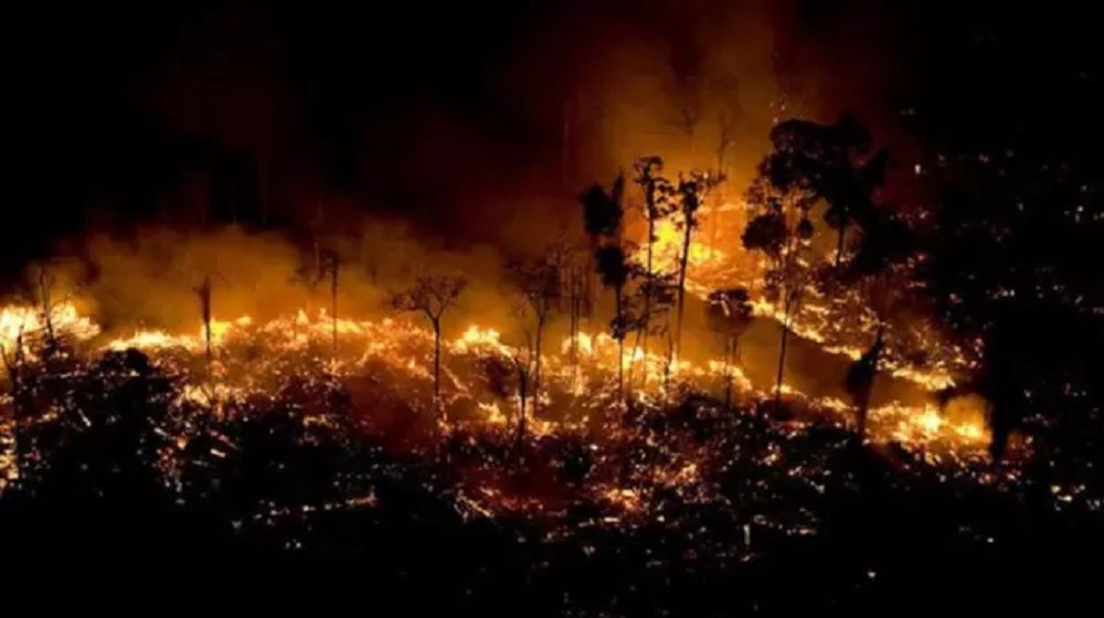 População do DF pode ajudar a combater focos de incêndios