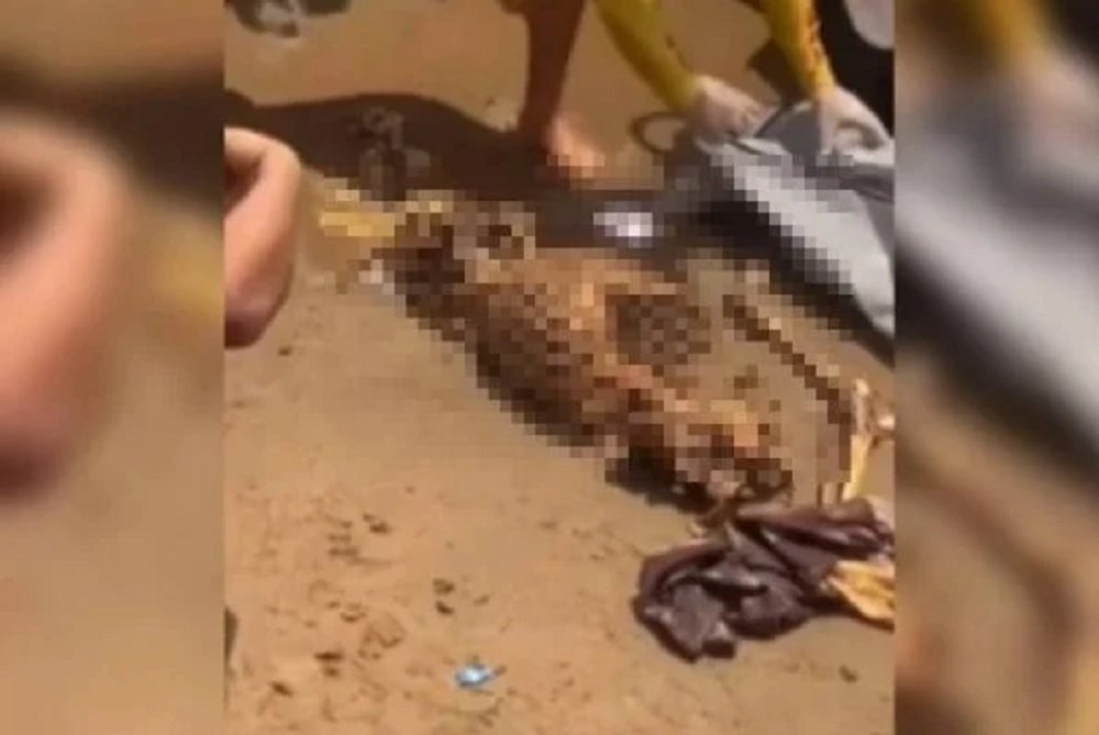 Cenas fortes: banhistas encontram esqueleto humano enquanto nadavam