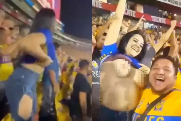 TIGRES