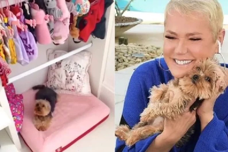 Xuxa divide opiniões ao mostrar quarto e closet de sua pet Doralice