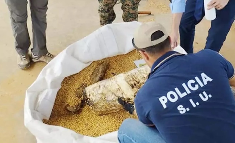 cocaína apreendida