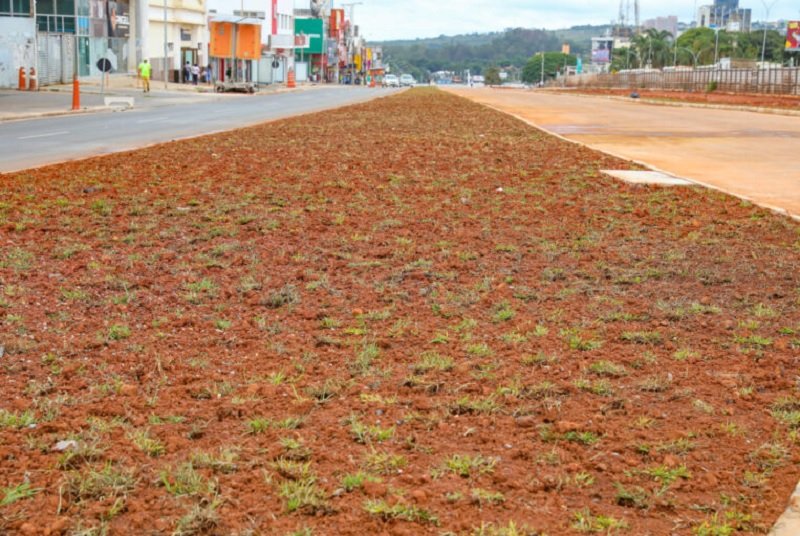 plantio de grama em metade do boulevard do Túnel de Taguatinga