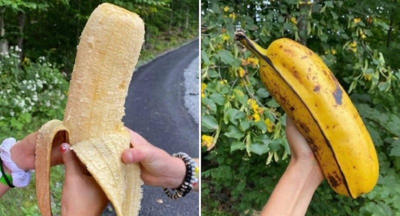 BANANONA