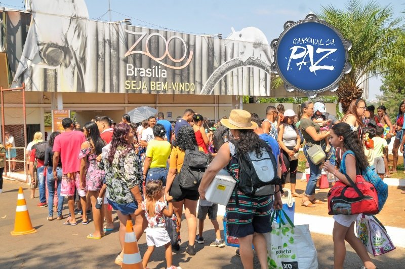 CARNAVAL DA PAZ