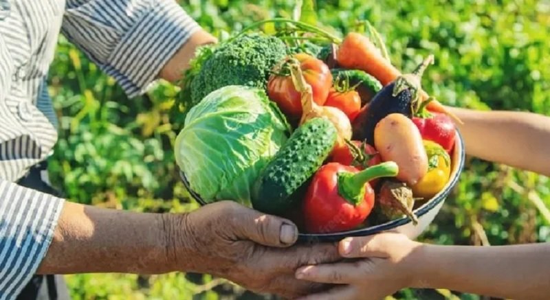 alimentos