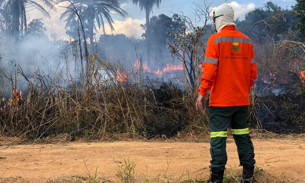 Curso-Brigadista-Incendio-Florestal-1000x600