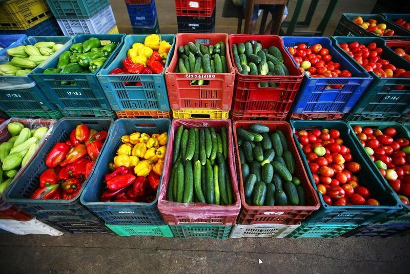 alimentos