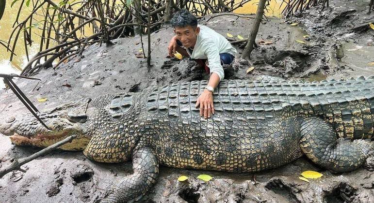 crocodilo-gigante-amizade-indonesia-26062023172841470