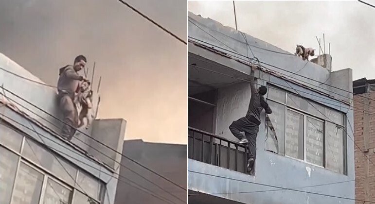 resgate-caes-incendio-predio-16062023162401224