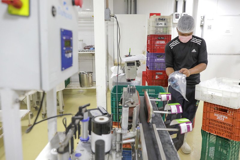 53178391306_0d141abd4c_c