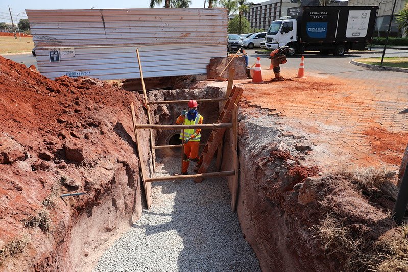 54040810026_004fd38f9a_c