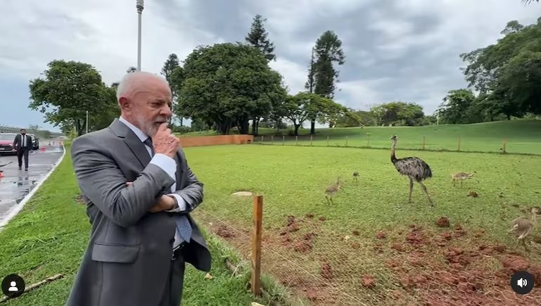 Imagem Destacada