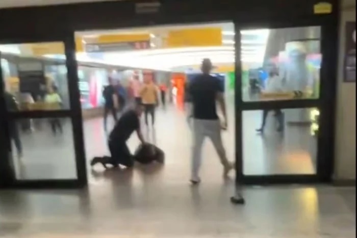 Imagem Destacada