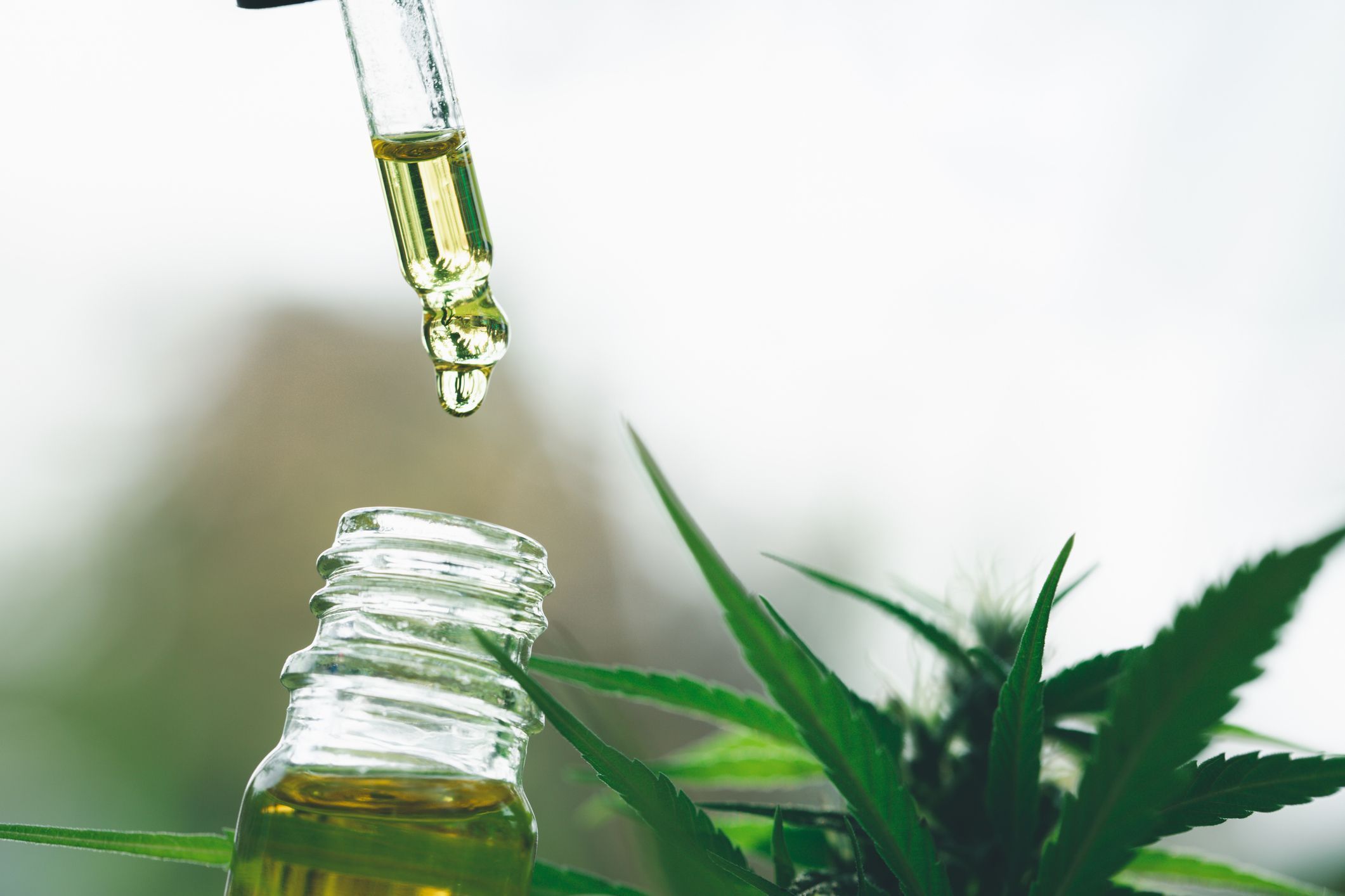 cannabis-medicinal.jpg