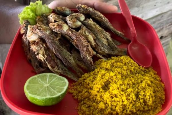 foto-piaba-frita-empresario-helicoptero-600x400.jpg