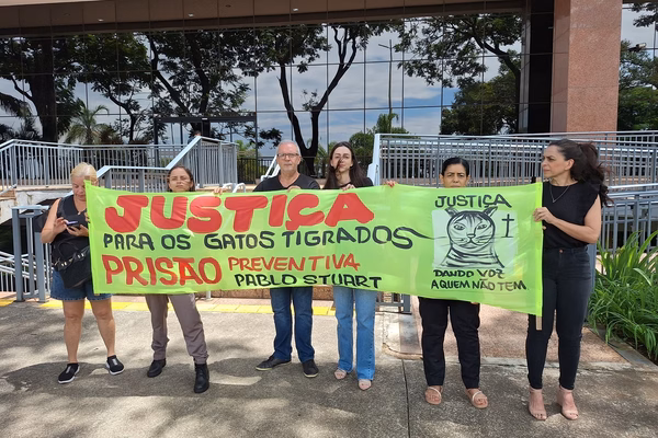 manifestacao-protetoras-gatos-4.jpeg