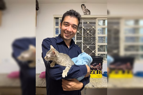 pablo-stuart-gatos-3.jpeg
