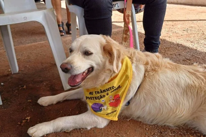 1_whatsapp_image_2025_05_23_at_13_23_43-52633845.webp.webp
