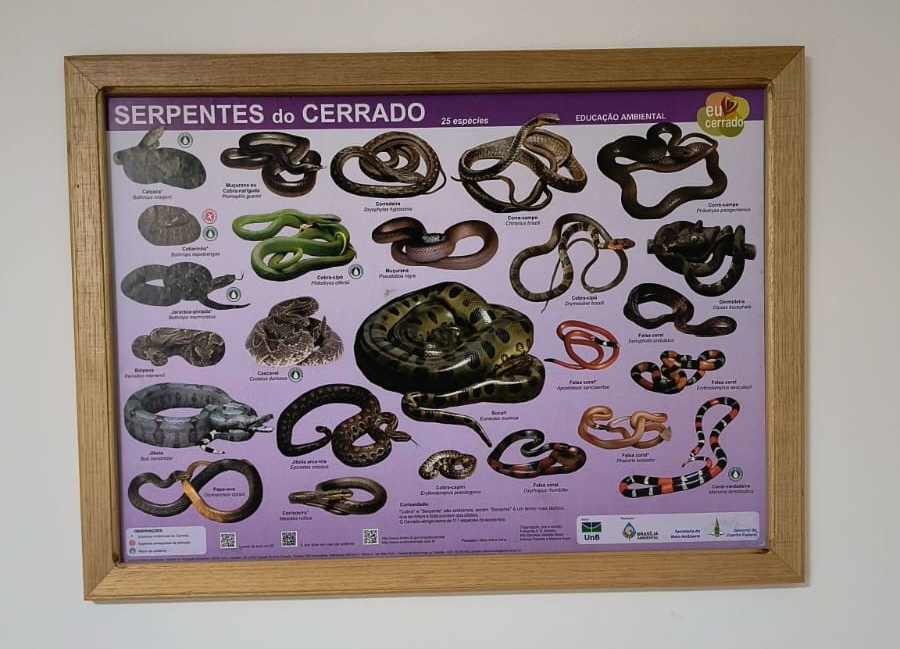 Foto-2-Abertura-da-Seamana-do-Meio-Ambiente-Lancamento-Cartaz-Serpentes-1.png