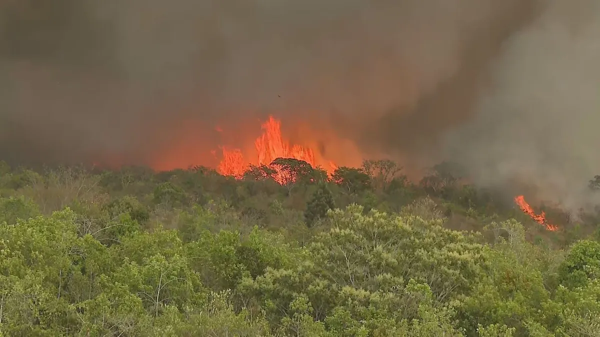 BR_CNN_160924_LINK_DF_IMG_INCENDIO_PARQUE_frame_76739.webp.webp