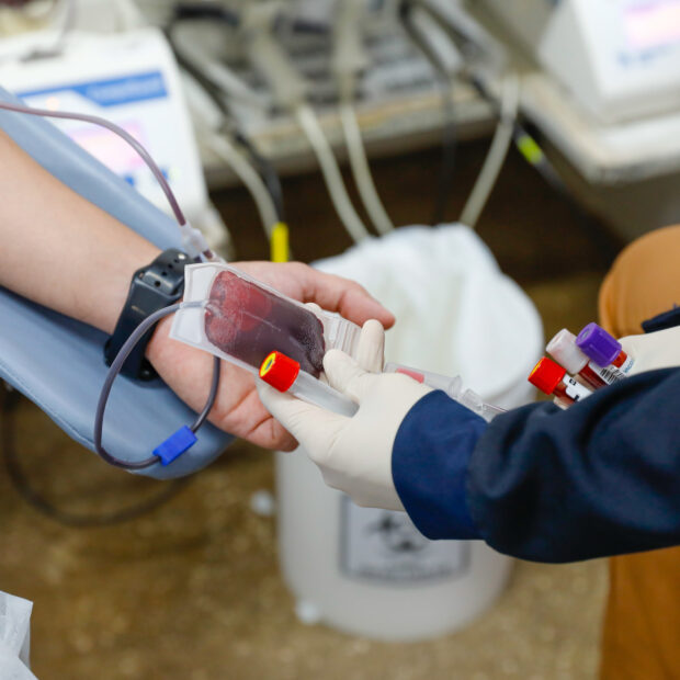 sangue-620x620.jpg