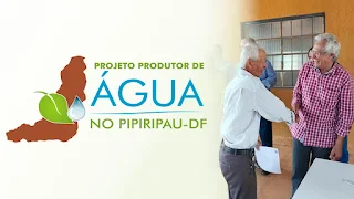 Pipiripau.WEBP.webp