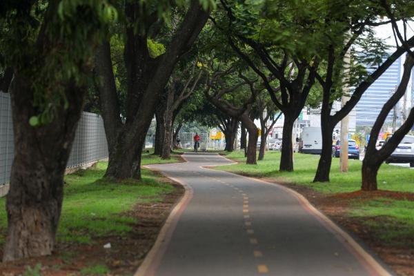 Deputado Fábio Felix (Foto: Rinaldo Morelli/Agência CLDF)