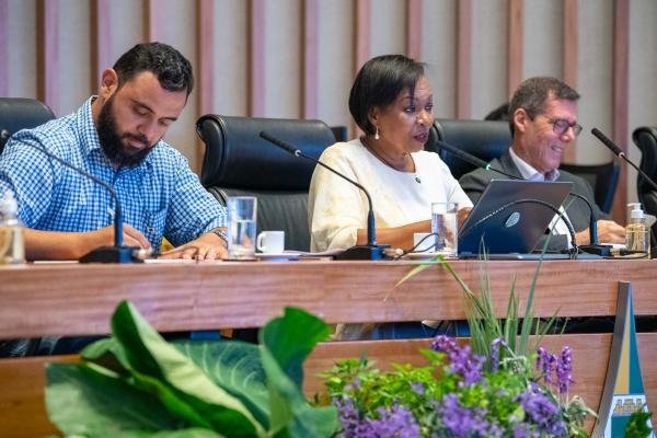 31fb10d1-ded0-54ff-f4a5-d78d72a3a8a1.jpeg Foto: Rinaldo Morelli/Agência CLDF