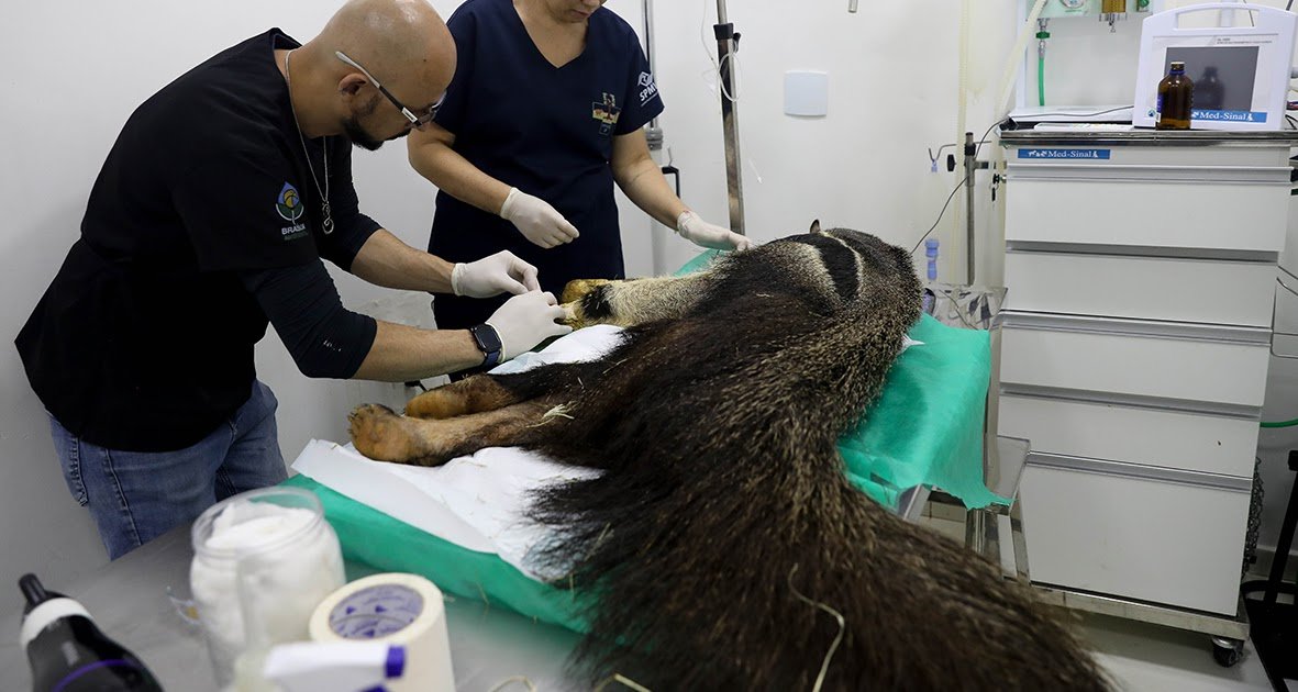 AEn0k_sIHV5Q65B6fpFwCsGeGCbZl_4DdlNjM-eNDBBm_B_mSLO7_DTWVzklnNj9FWZiB9szstDsRIupWu5sNGg5jjd8NiBSJEqi.jpeg AEn0k_sIHV5Q65B6fpFwCsGeGCbZl_4DdlNjM-eNDBBm_B_mSLO7_DTWVzklnNj9FWZiB9szstDsRIupWu5sNGg5jjd8NiBSJEqi.jpeg