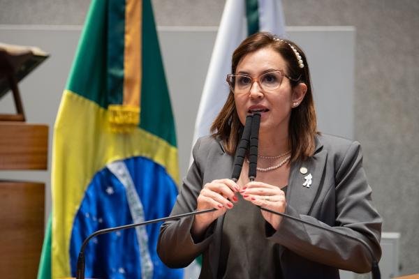 Sessão solene comemora 45 anos do Sindicato dos Enfermeiros