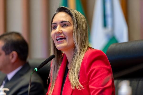 81c840f9-7ff0-e0da-c82c-8c25378dded2.jpeg Foto: Divulgação / Gabinete Roosevelt Vilela