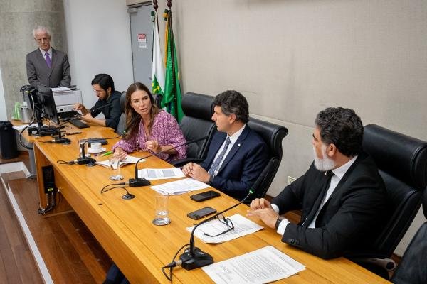 d271a6e5-fbcd-41ae-6fcd-6b291855c2d6.jpeg Revisão do Plano Plurianual 2024-2027 é aprovada na CEOF