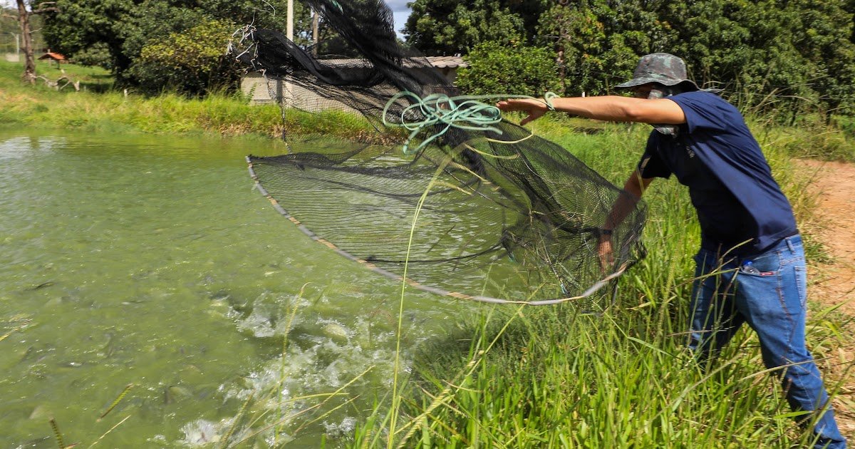 AEn0k_tpe96XOtECAsEkqaAaFnkj2pcry32ssGoQCw60d9R094LV2DHCX9Ek6nffj1AUUYI0EQ001g3jk8e_wgeixBK1f30RgifP.jpeg AEn0k_tpe96XOtECAsEkqaAaFnkj2pcry32ssGoQCw60d9R094LV2DHCX9Ek6nffj1AUUYI0EQ001g3jk8e_wgeixBK1f30RgifP.jpeg