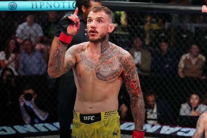 images-11.jpeg images-11.jpeg